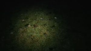 Đèn pin đội đầu SOFIRN HS40 sáng 2000 lumen xa 175M LED SST40 sạc USB-C pin sạc 18650 (KÈM THEO)