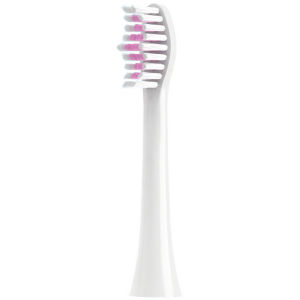 Applicable to Bayer Bair Electric Toothbrush Head X1/X3/X1splus/G1/G201 Bayer Replacement Neutral Teez I