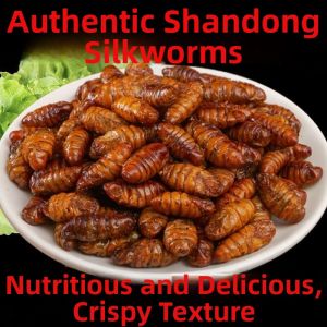 Ready-to-eat Fresh Silk Worm Pupae Meat Snack  Five-flavor Spicy Crispy Braised Boiled