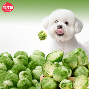 hipidog | Thức Ăn Thú Cưng Rau Củ Đông Lạnh Không Chất Bảo Quản