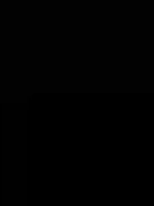 Never see ants again！ Ants spray Ant killer spray organic killer Ant repellant spray 500ml Plant non-toxic long-lasting One contact with the whole litter died A bottle to solve ants. Ant bait ant killer Ant repellent spray