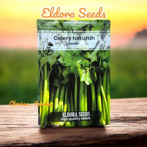 (ELDORA SEEDS) BIJI | BENIH SELEDRI BATANG BESAR TALL UTAH (isi -+200 Butiran)
