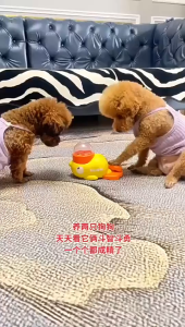 Pet Puzzle Feeder Interactive Dog Food Treat Dispenser Pet Automatic Feeder Toys for Dog Training