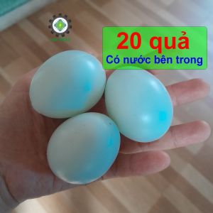 Combo 20 trứng nhựa màu xanh có nước bên trong dùng cho vịt chim săn mồi trứng nhựa xanh CB20TRV-XANH