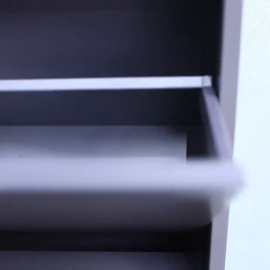 Steel Shoe Rack Almari Kasut Multi-layer Shoe Rack Rak Kasut Wall Mounted 2/3/4 Doors鋼製翻斗鞋櫃