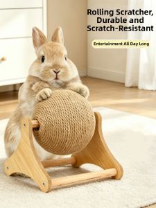 VOA | Entertainment Teething Chew Toy for Pets Rabbit