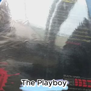 The Playboy : แสบสะบัด กัดเป็นคู่ เล่ม 2 ตอน วิกฤตการณ์ฝ่าห้วงมิติ และ เล่ม 3 พันธนาการแห่งกระบี่ ผู้เขียน HULI ผู้แปล ไหน่ฮวย สภาพตามวิดิโอ