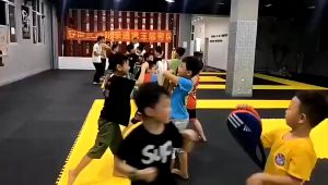 ***พร้อมส่ง***เป้าเตะซ้อมเทควันโด  เป้าล่อเตะ ล่อชก สำหรับฝึกซ้อม เทควันโด คาราเต้ มวยไทย น้ำหนักเบา