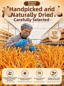 WENXIANGZAN | Premium Cordyceps Flowers For Soup