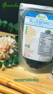 Greenola Dried Blueberries 100g Set of 4
