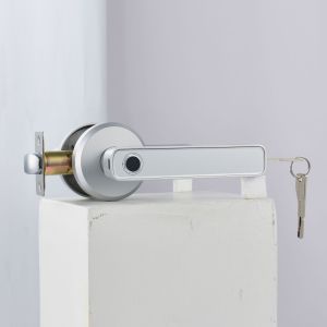Smart Fingerprint Door Lock Household With Mechanical Key Unlocking For Wooden Door Single Handle