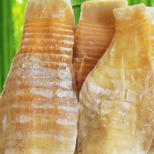 Fujian Dried Bamboo Shoot Ming Dried Bamboo Shoot Goods Farm Self-Produced Winter Bamboo Shoots Dried Bamboo Shoot Pressed Dried Bamboo Shoot Phoenix Tail Bamboo Shoots 500G