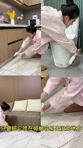 Semburan Insektisida Fipronil Pemprosesan Tersuai untuk Kutu Kutu Lipas Semut Pepijat Rama-rama Insektisida Paip