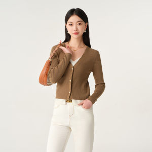 Bathina V-Neck Knitted Sweater Womens Slim Fit Color Block Top Spring Autumn New Style Fashionable Business Casual Wear