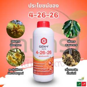 ปุ๋ยน้ำเจนวาย 4-26-26 (สูตรเพิ่มกรดอะมิโน) 1 ลิตร สะสมอาหาร เปิดตาดอก ออกดอก ดอกสมบูรณ์ ติดผลผลิต