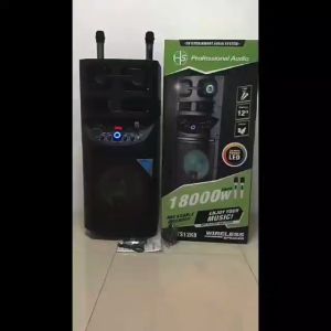 HANSUO 12inch Rechargeable Trolley Speaker for karaoke home theater system HS-TS12K8 pro