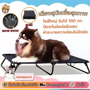เตียงสุนัขพรีเมี่ยมเตียงสัตว์เลี้ยงสากลสามารถรับ 150 กก. บนปกไม่สะดุดตา การระบายอากาศและการรักษาความชื้นป้องกันแผลกดทับโรคผิวหนังการพับ เตียงสุนัข เตียงสุนัข ขนาดใหญ่ เตียงสุนัข 150Kg - Lazada