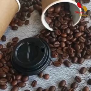 Coffee Tea Paper Cup Double Wall Heat Insulation Disposable With Lid 8oz/12oz牛皮咖啡纸杯 双层热饮防烫