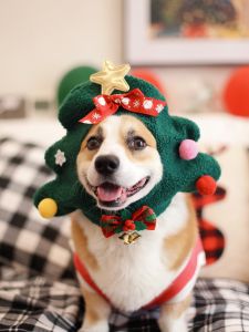 Pet Dog Christmas Tree Hat Holiday Decoration Headgear Photo Funny Cute Heattech No Drop Corgi Fall and Winter