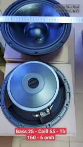 bass 2 tấc 5 coill 65 từ 160
