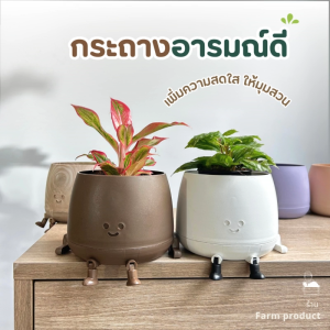 กระถาง ต้นไม้เล็ก ของแต่งสวน ไม้ประดับ 🌼 กระถางหนูยิ้มเก็บน้ำได้ในตัว | ดีไซน์น่าใช้ ราคาน่ารัก :)