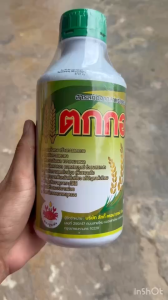 แตกกอ (สินค้าผลิตใหม่) บำรุงข้าว ฮอร์โมนข้าว แตกราก เร่งราก แตกกอดี เขียวทน เขียวนาน ใบตั้ง ทนทานโรคแมลง 1 ลิตร ใช้ 15ไร่
