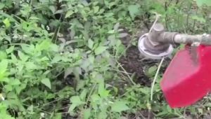 Universal Mower Hed Line Grass Trimmer Head with 4 Nylon Lines for Brush Cutter Strimmer Replacement