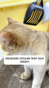 PetClear🐱 Pet nutritional supplements Premium Natural Deep Sea Fish Oil tablet for Dog and Cat 200PCS/Bottle