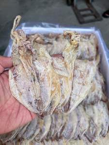 ปลาหมึกผ่าA5ปลาหมึกผ่าเอ5หมึกรสชาติไม่ค่อยเค็มขนาด500กรัม