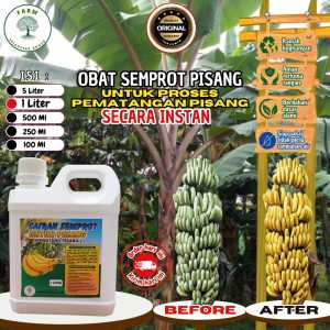 Obat/ Karbit Cairan Pematang Buah Pisang Mangga Nanas dll. ukuran 1LITER