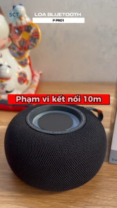 Loa Bluetooth Không Dây P Pro 1 – Âm Thanh Rõ Ràng Chân Thực Bass Sâu NGhe Nhạc Mọi Lúc Mọi Nơi - Bảo Hành Lỗi 1 Đổi 1
