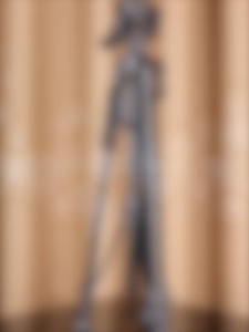 Adjustable camera tripod for video and photoDSLR photography portable micro single mobile phone stand selfie live broadcast lightweight and universal