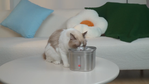 Pet Water Dispenser 2.2L Cat Drinking Automatic 304 Stainless Steel Pet Fountains Dog Water Feeder