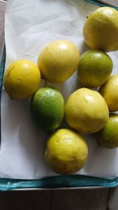 1 KG BUAH JERUK LEMON LOKAL SEGAR PENGIRIMAN DARI MEDAN