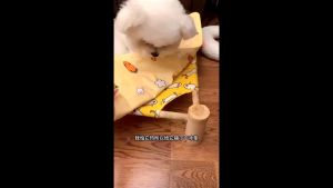 Cooling Mat Dog Cat Pet Bed Sofa Blanket Sleeping Pad Cool Cushion Cooling Pad Pet Sleeping Mat