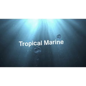 AIR FRESHENER CAR PERFUME PEWANGI KERETA KEEF & NISH TROPICAL MARINE