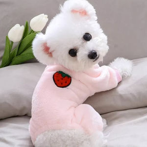 Warm Four-Legged Plush Dog Clothes Fruit Patterned Pet Sweaters for Small Dogs And Cats Autumn Winter Wearable Casual Pet Wear