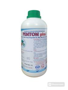 Penton plus Tiêu diệt ký sinh trùng ( Trùng Bánh Xe Nấm Thủy Mi) Trên cá nuôi