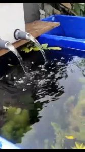 Trickle Filter Kolam Mesin Pompa Aquarium LION L 104 Koi Aquarium Box Kolam Ikan Media Filter Aquascape Hidroponik