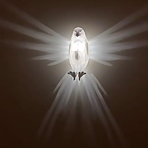 3D Wall Light Owl Eagle LED Wall Lights Animal Sconces Home Decoration Wall Lamp Living Room Bedroom