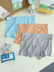 Boys Ice Silk Boxer Briefs Kids Underwear Breathable Cooling Soft Panties 5 Pack 5 Colors Summer