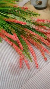 Virgin Coconut Oil Minyak Kelapa Murni SR12 VICO / VCO Ruam Popok Biang Keringat untuk kesehatan