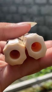 Pipa GG Asli Lokal Blimbing 10cm Mulus Tebal