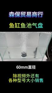 6cm/8cm Disk Air Bubble Stone Aerator for Aquarium Fish Tank Pond Submersible Pump Power Head Bubble Producing Air Pump Accessories