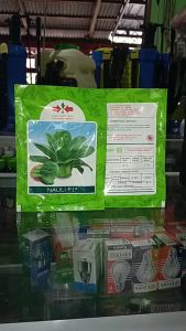 Benih Pakcoy Nauli F1 10 Gram: Panduan Lengkap