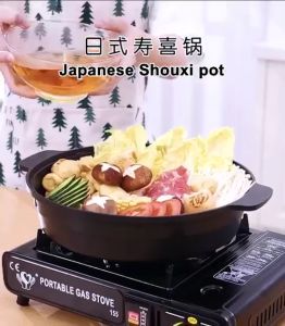 Portable butane gas stove Mini Camping Stove outdoor and indoor use