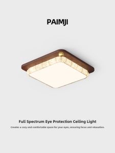 PAIMIJI | Mid-century Style Simple Small Ceiling Light