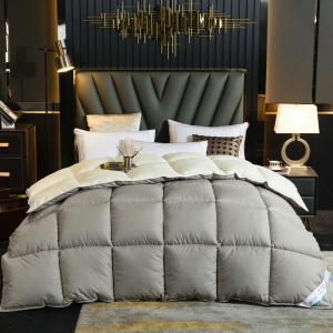 Feather Down Thick Warm Double Size Quilt Core