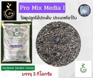วัสดุปลูกไม้ประดับ ประเภทโชว์ใบ Pro Mix Media ดินปลูกไม้ใบ