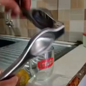 TJ Squeezer Manual Perasan Jeruk Lemon Stainles Steel Pemeras Minuman Buahan Manual Alat Peras Jeruk